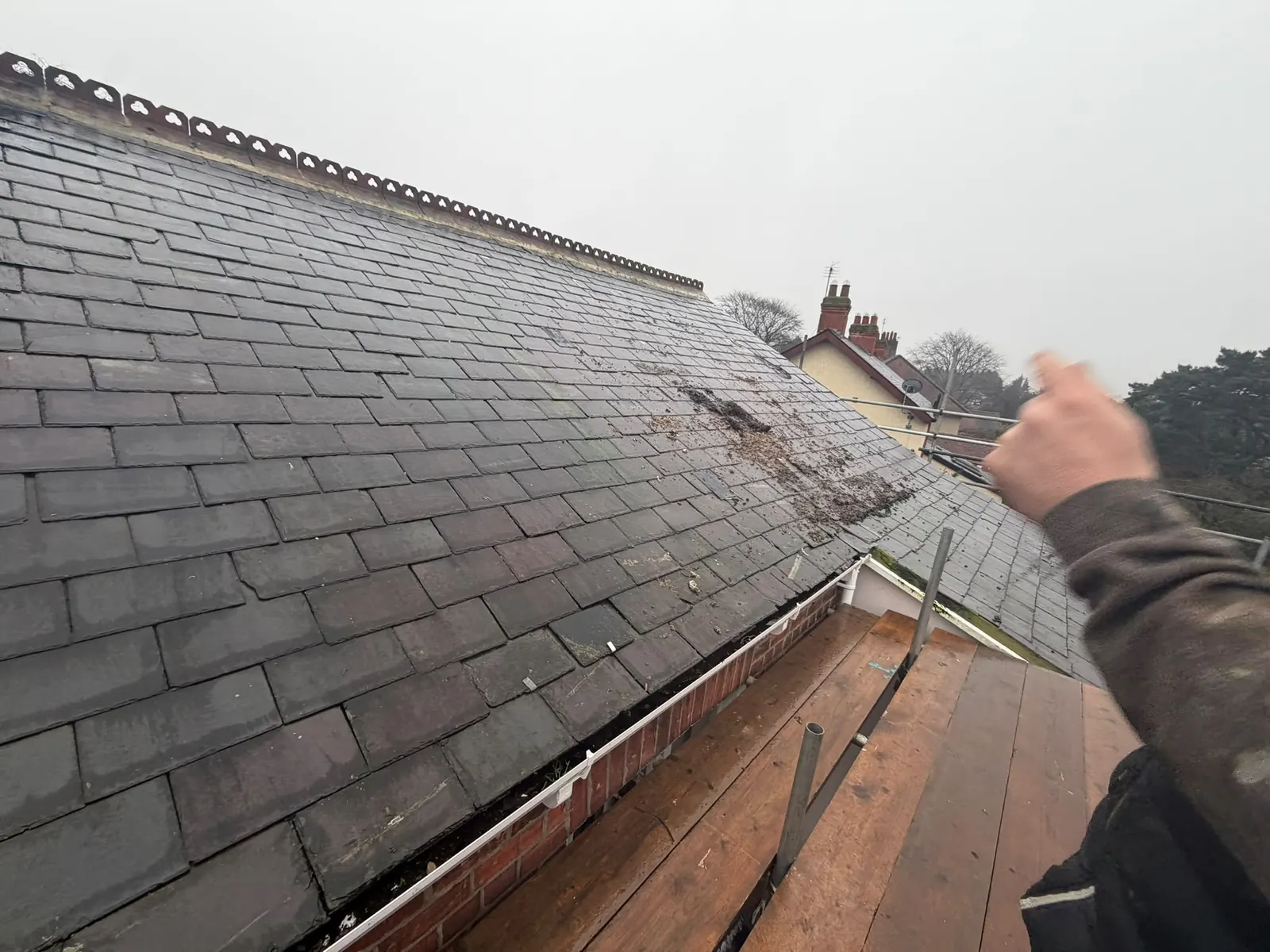Slate roof being inspected for repair